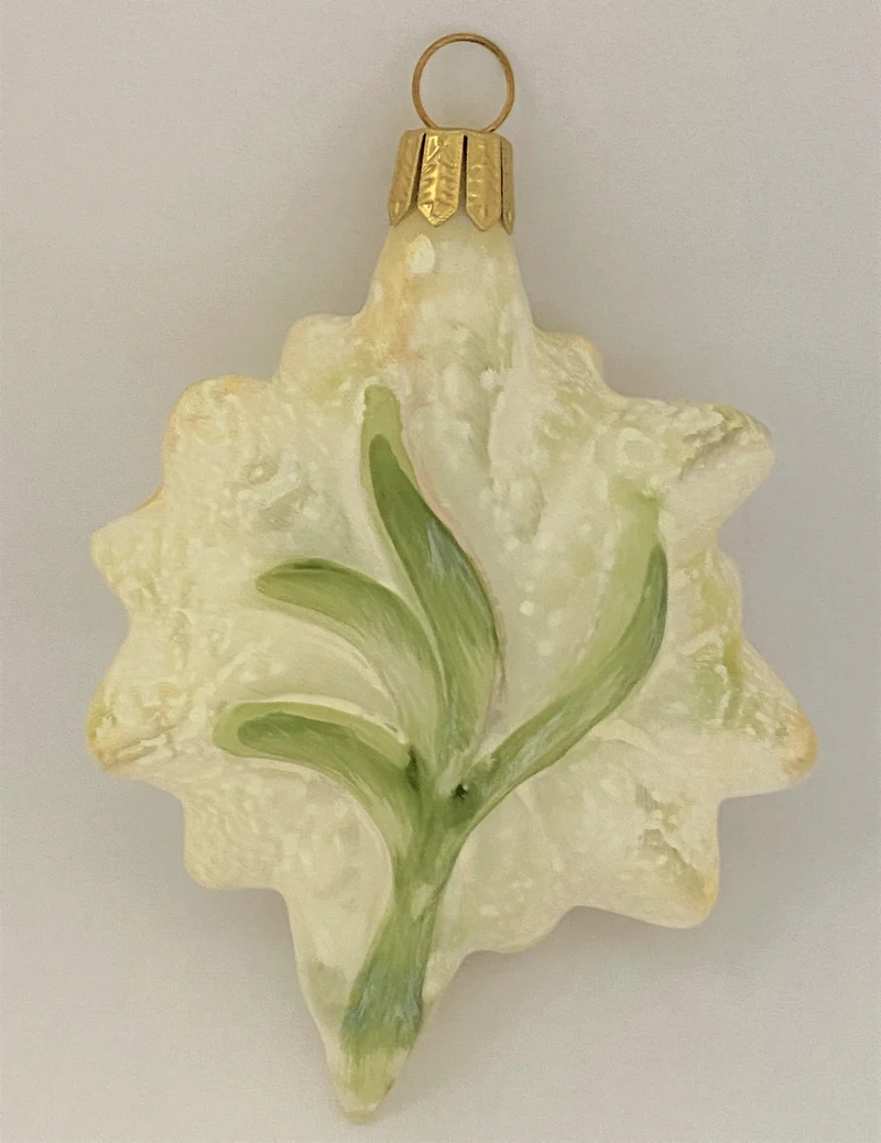 Edelweiss