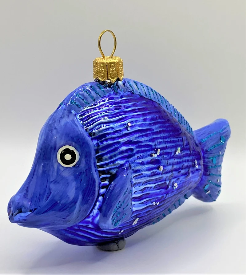 Glänzend blauer Riff-Fisch