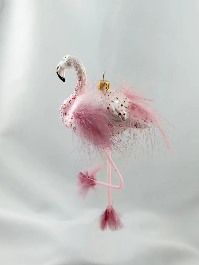 Rosa Flamingo