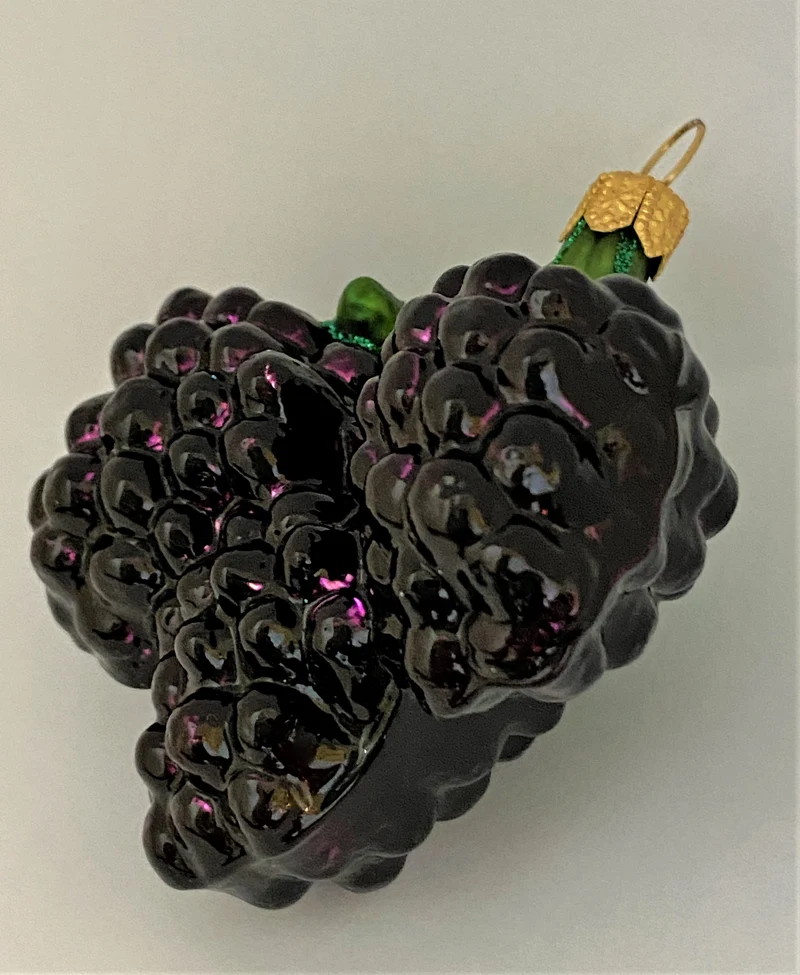 Glänzende Brombeeren am Zweig