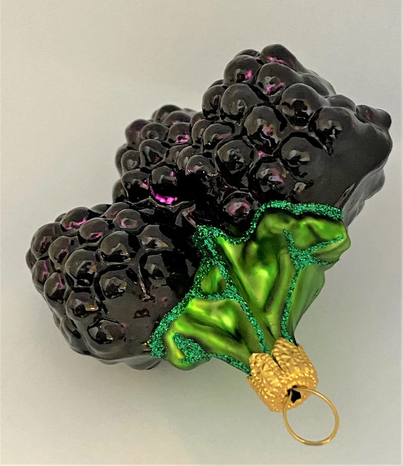 Glänzende Brombeeren am Zweig