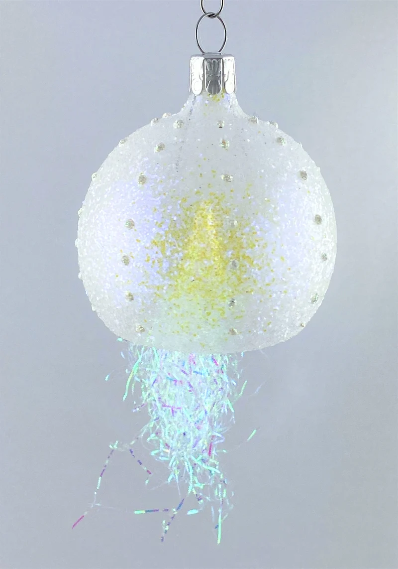 Qualle, Medusa transparent mit irisierendem Glimmer