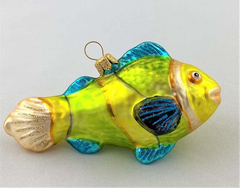 Grün Gelber Korallenfisch mit türkisen Flossen