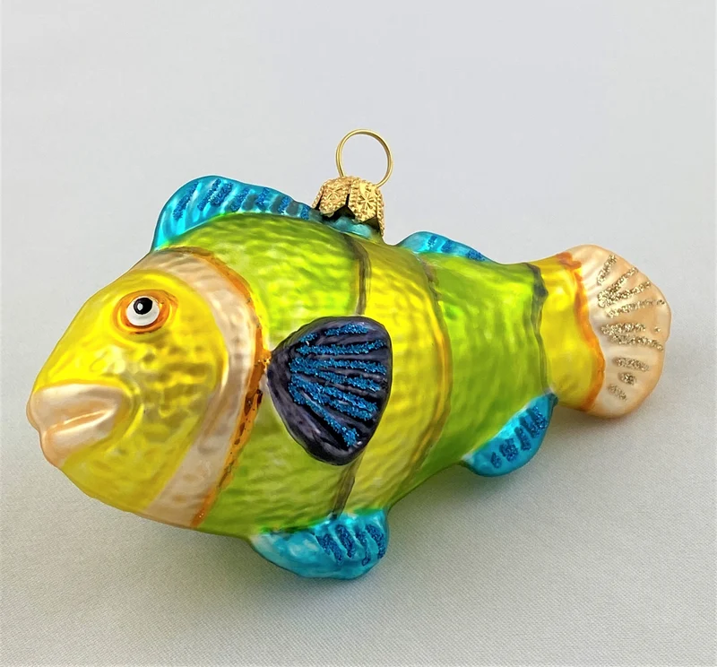 Grün Gelber Korallenfisch mit türkisen Flossen