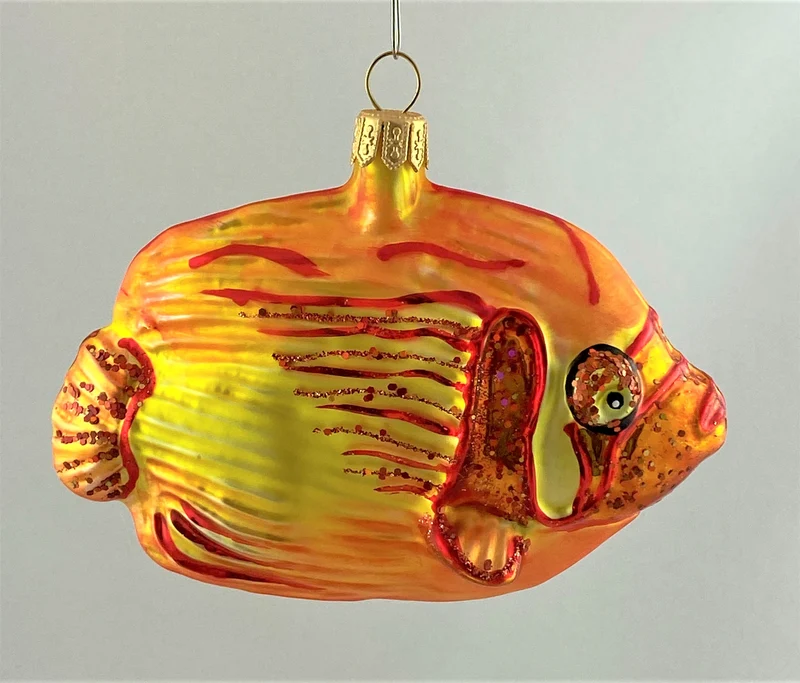 Riff-Fisch gelb orange
