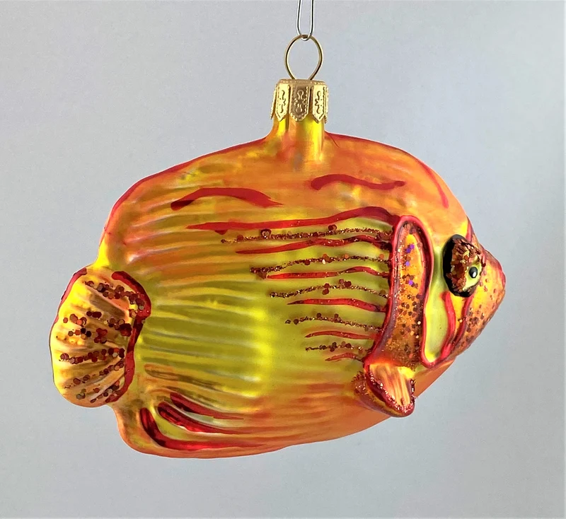 Riff-Fisch gelb orange