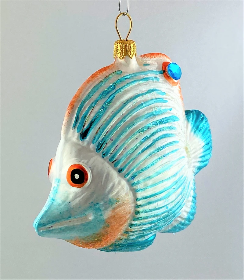 Doktorfisch mit hellblauen Streifen