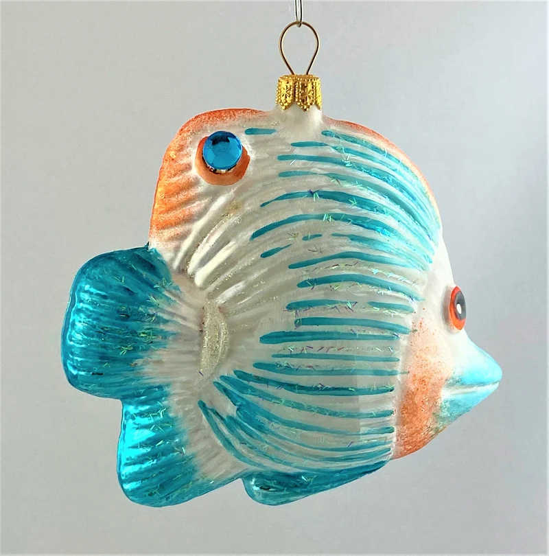 Doktorfisch mit hellblauen Streifen