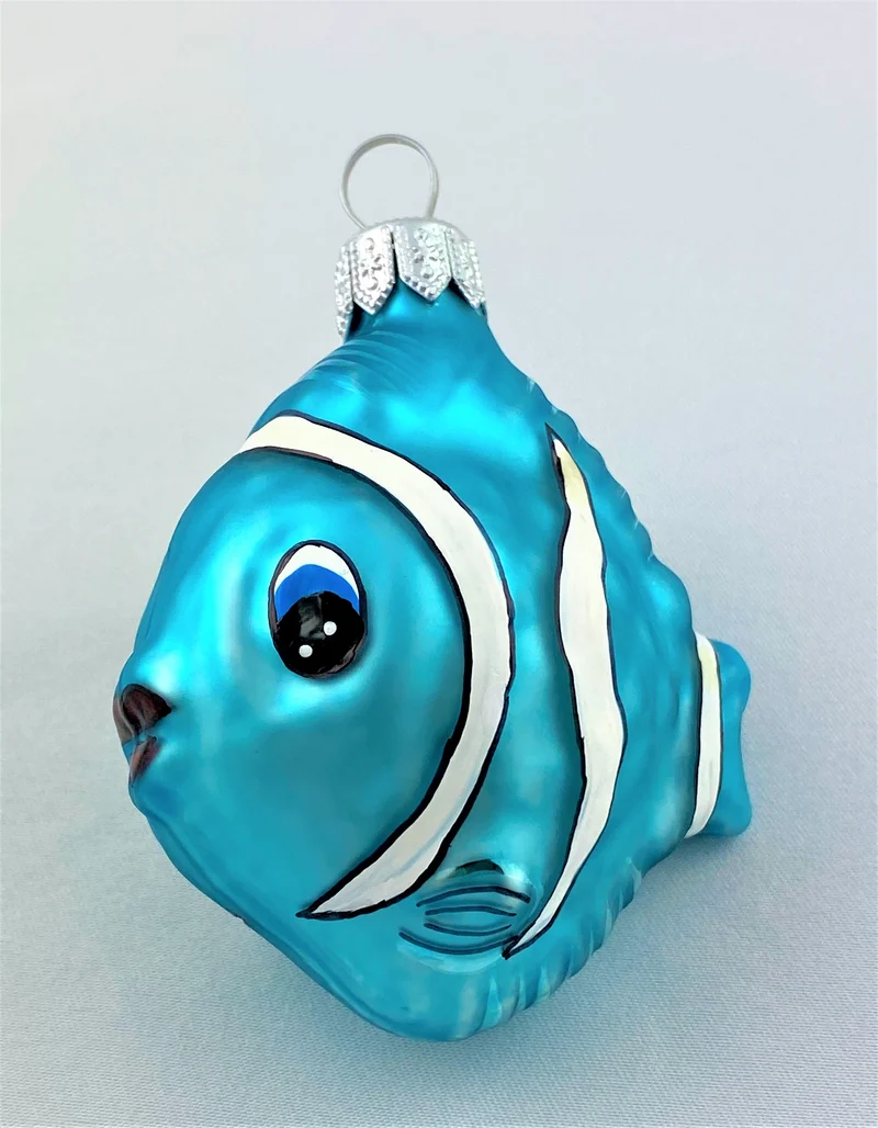 Kleiner süsser Anemonenfisch, türkis