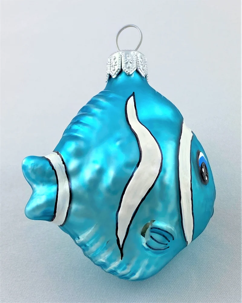 Kleiner süsser Anemonenfisch, türkis