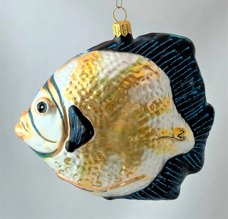 Grosser Riff-Fisch mit blauen Flossen