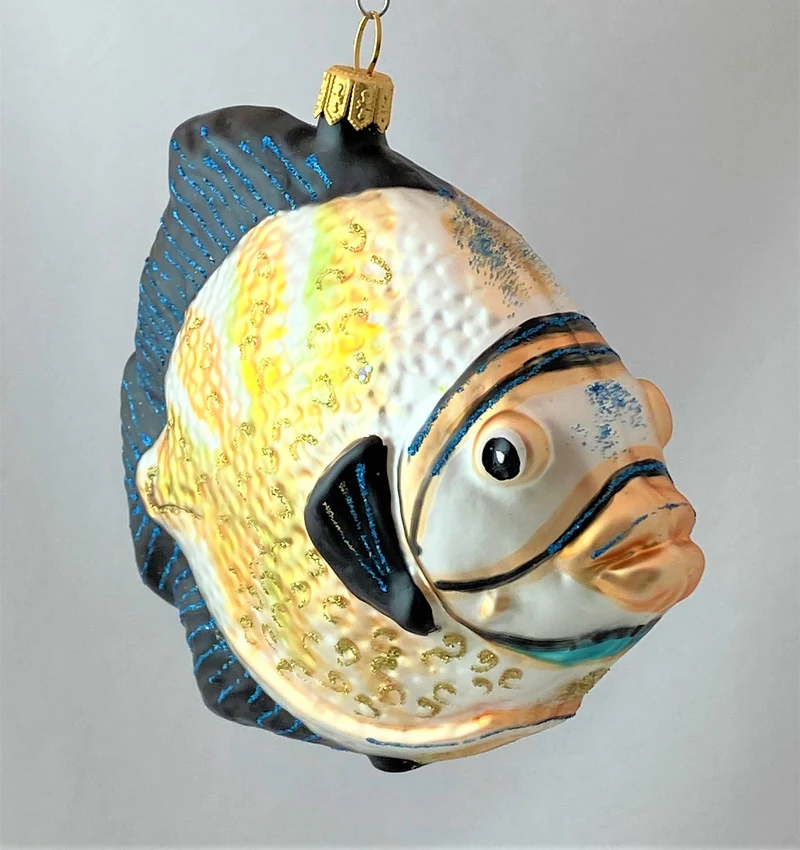Grosser Riff-Fisch mit blauen Flossen