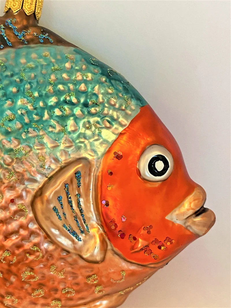 Grosser Riff-Fisch mit rotem Kopf