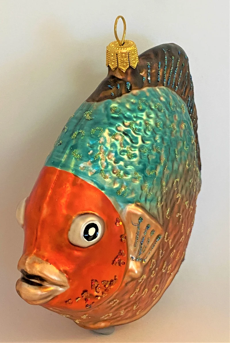 Grosser Riff-Fisch mit rotem Kopf