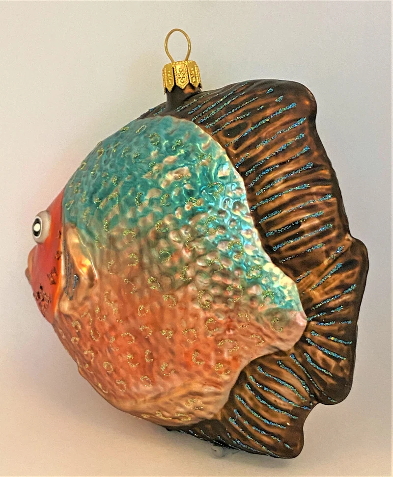 Grosser Riff-Fisch mit rotem Kopf