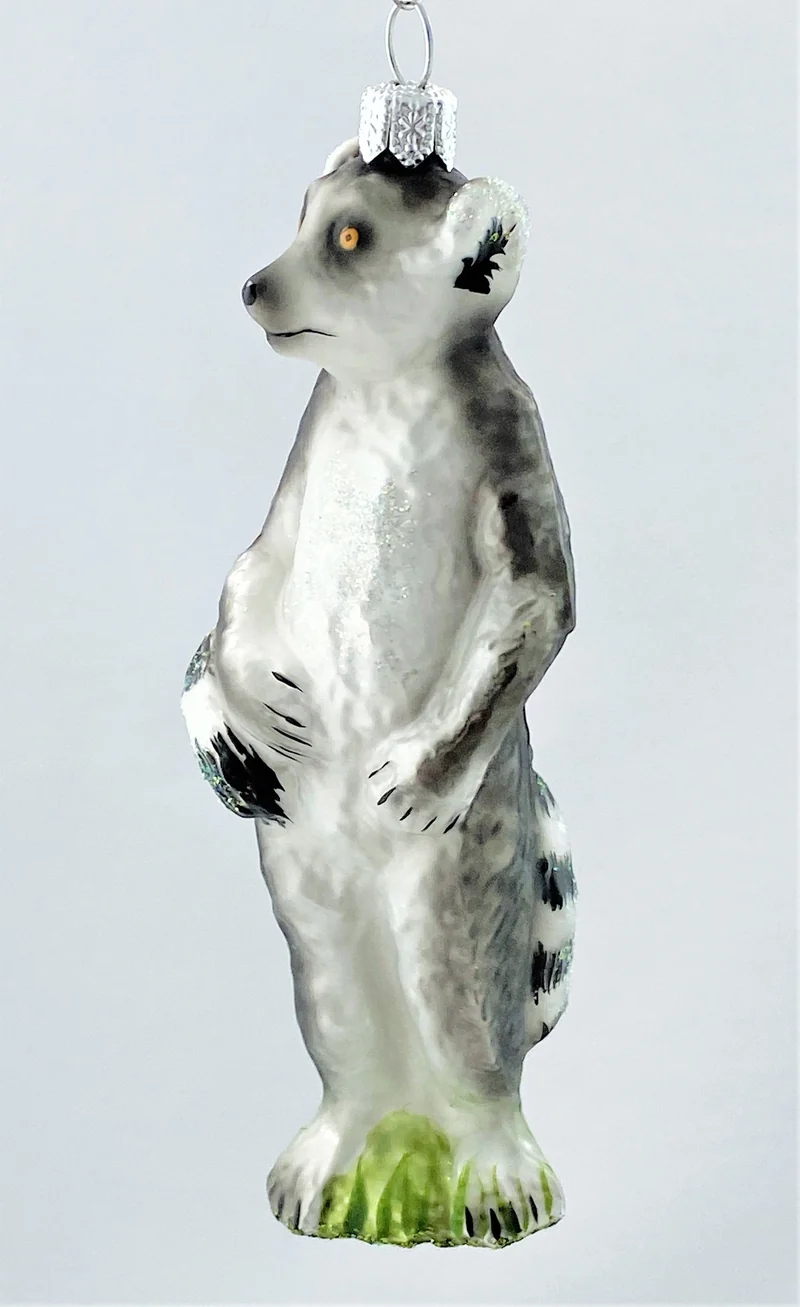 Maki, Lemur Affe