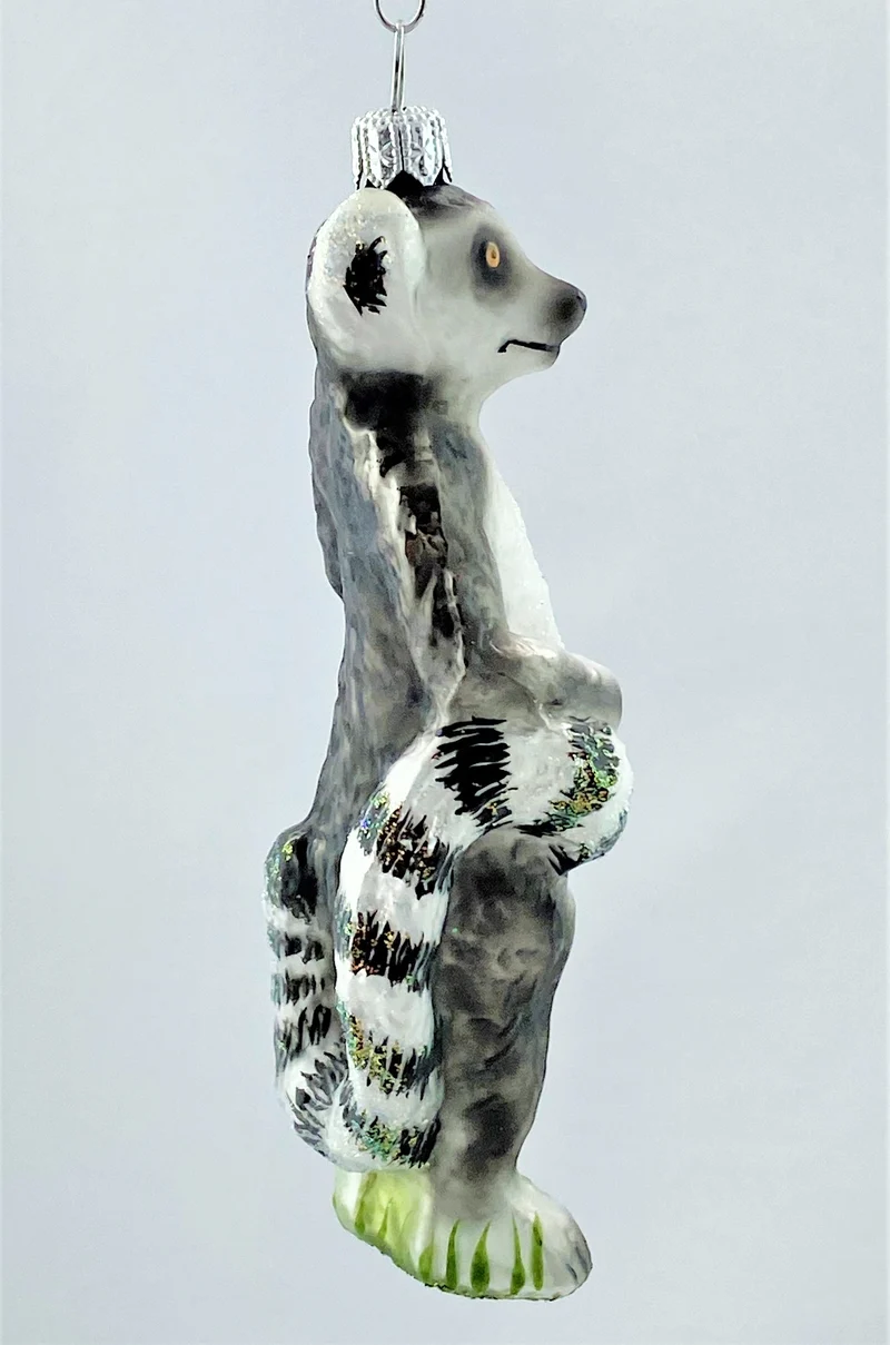 Maki, Lemur Affe
