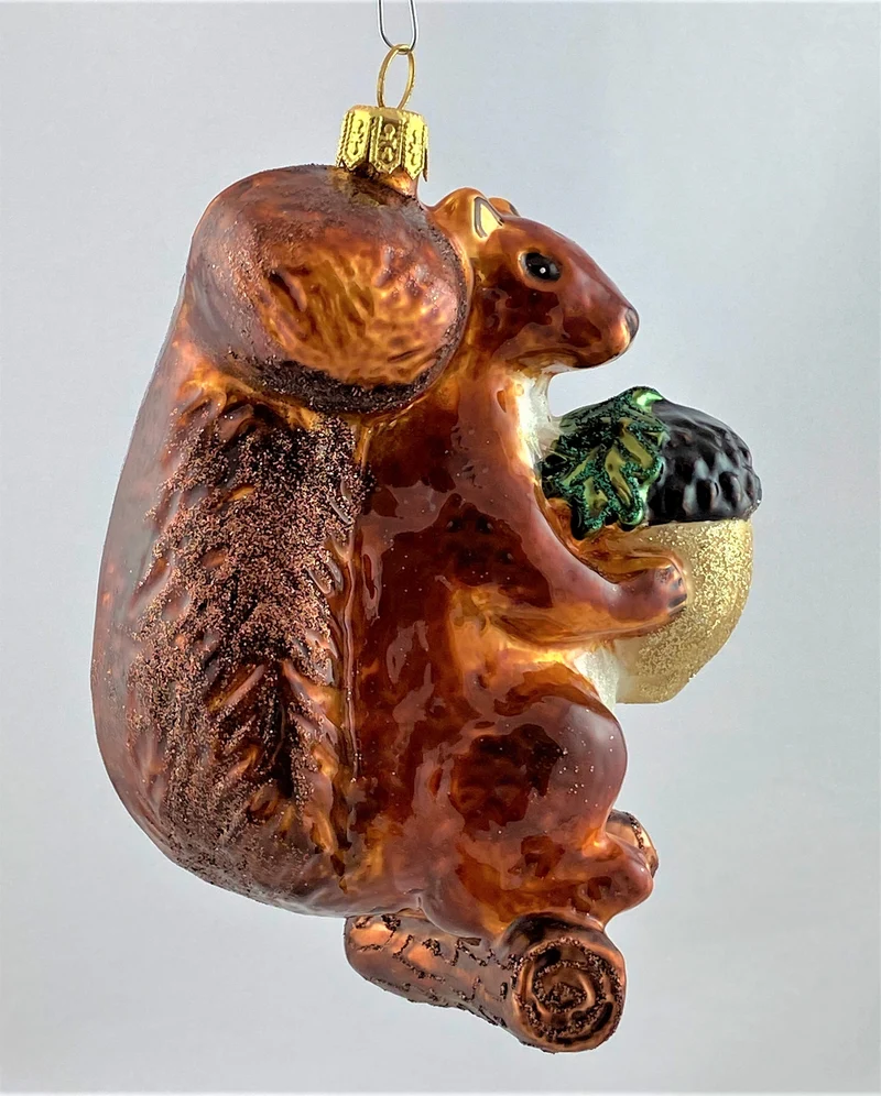Grosses Eichhörnchen mit grosser Eichel