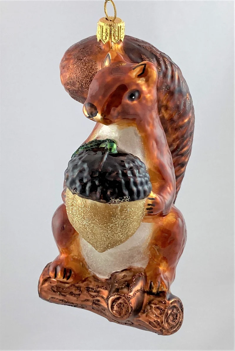 Grosses Eichhörnchen mit grosser Eichel