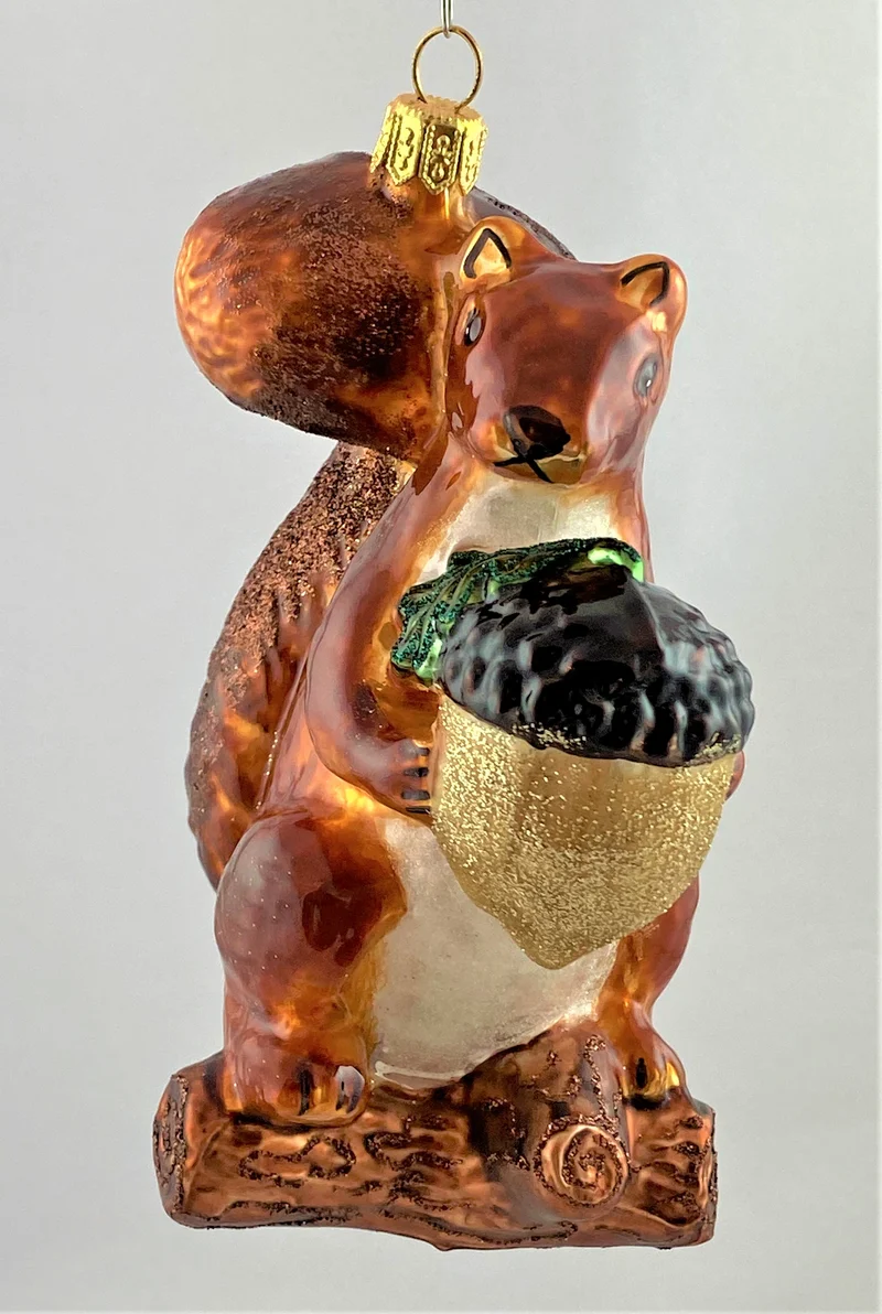 Grosses Eichhörnchen mit grosser Eichel