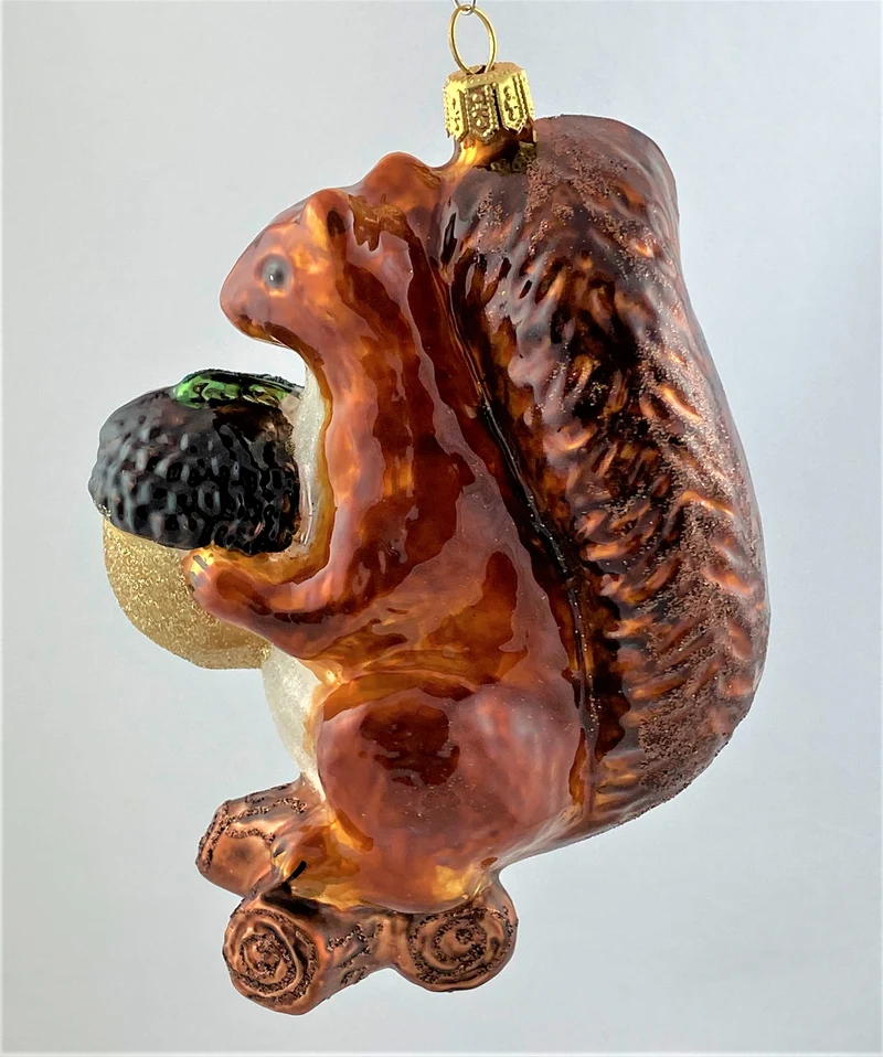Grosses Eichhörnchen mit grosser Eichel