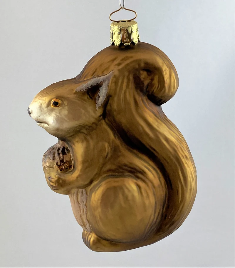 Olivbraunes Eichhörnchen mit Eichel