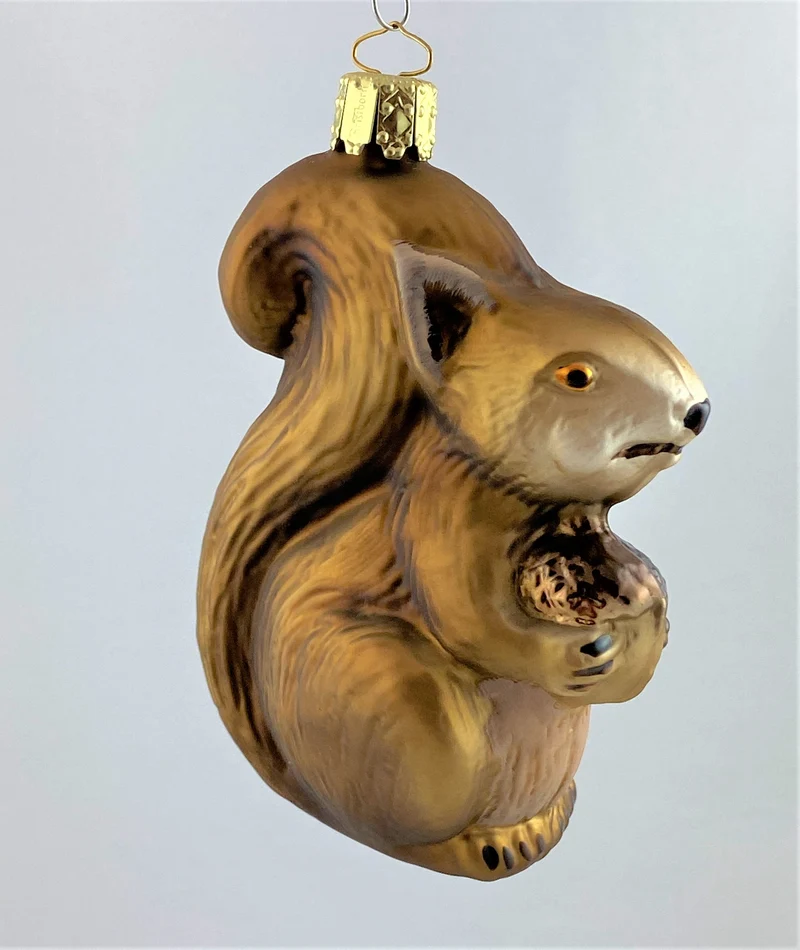 Olivbraunes Eichhörnchen mit Eichel