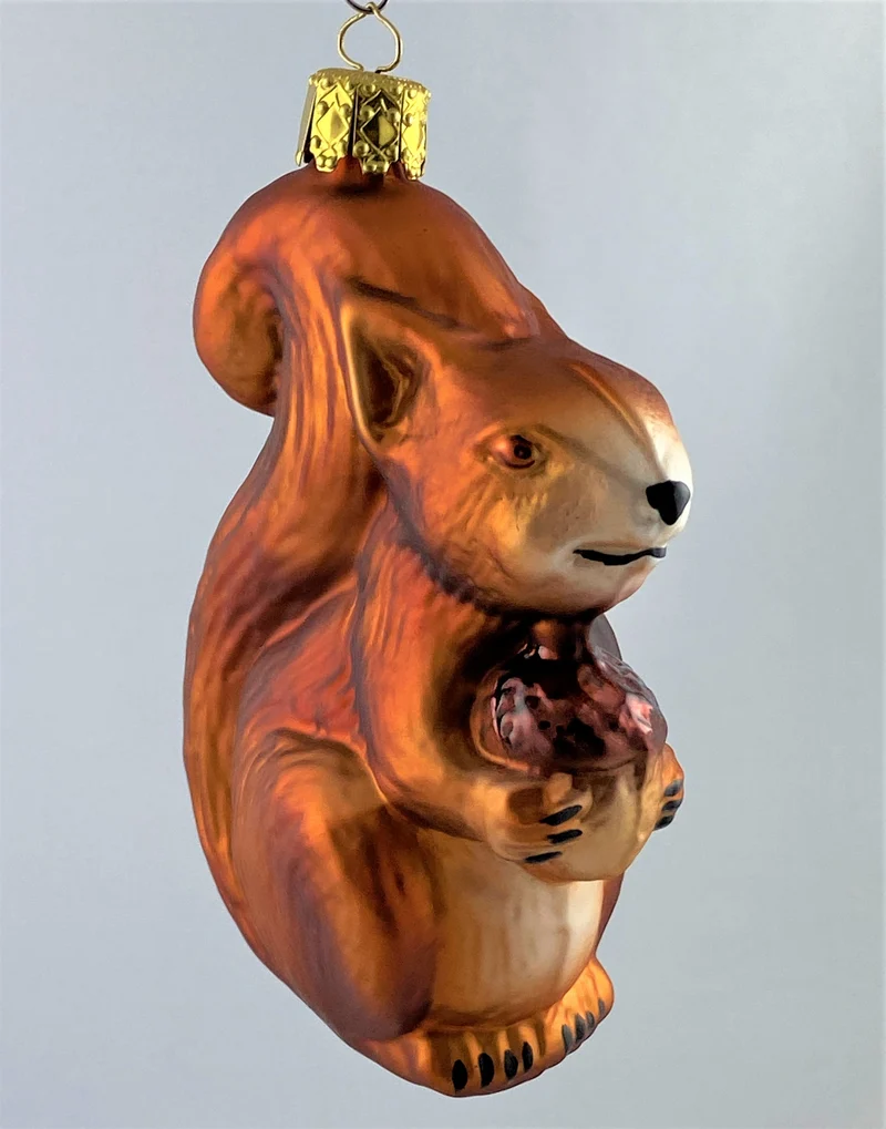 Rotbraunes Eichhörnchen mit Eichel