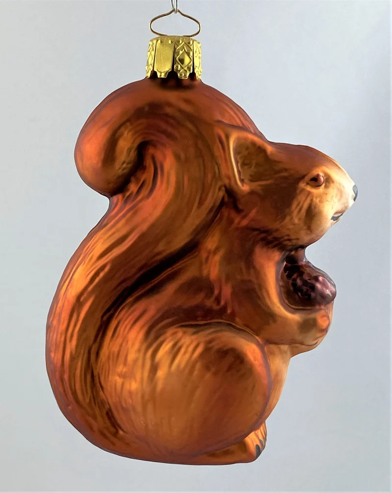 Rotbraunes Eichhörnchen mit Eichel