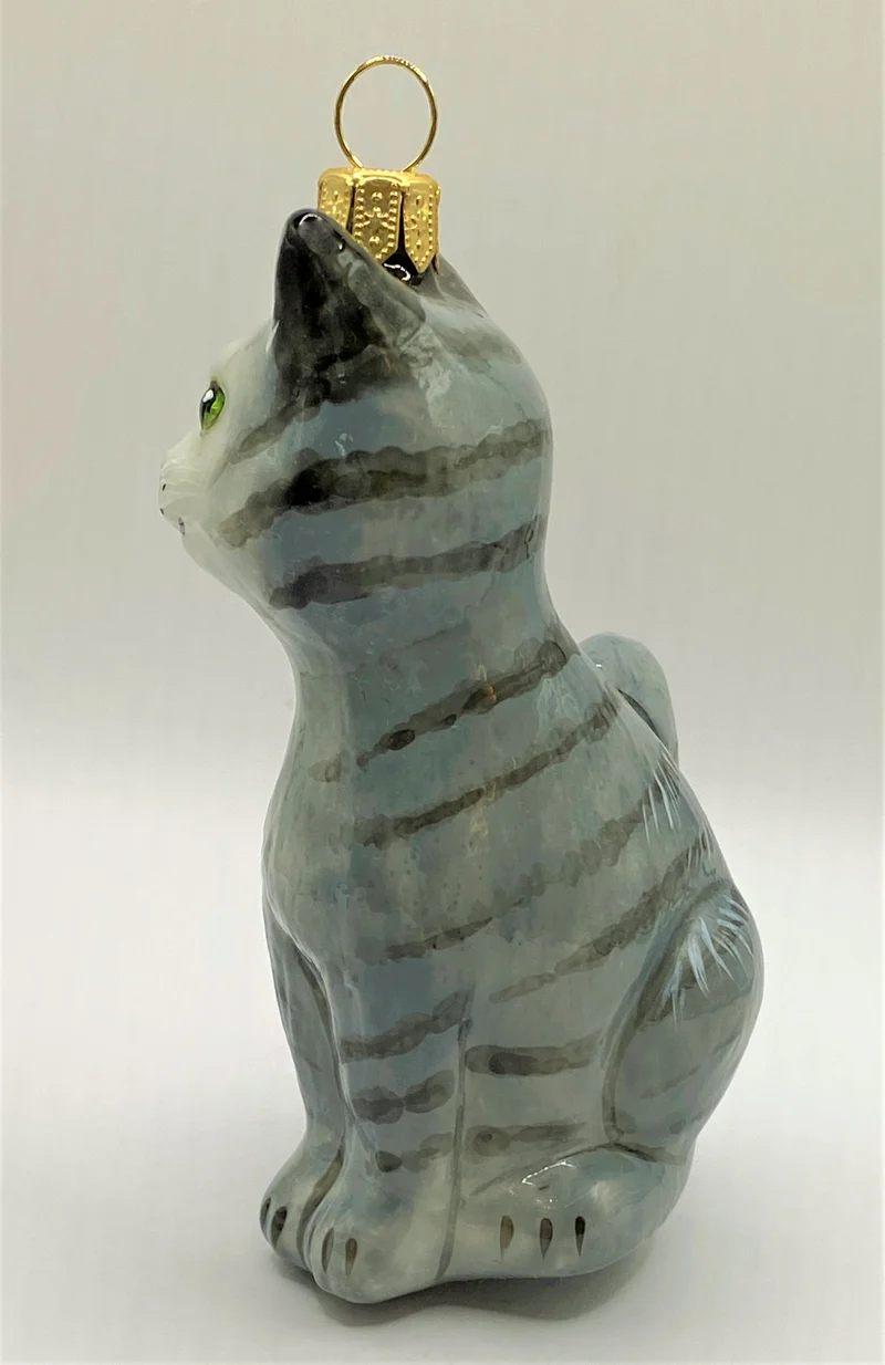 Graue Tigerkatze mit grünen Augen, KOMOZJA MOSTOWSKI