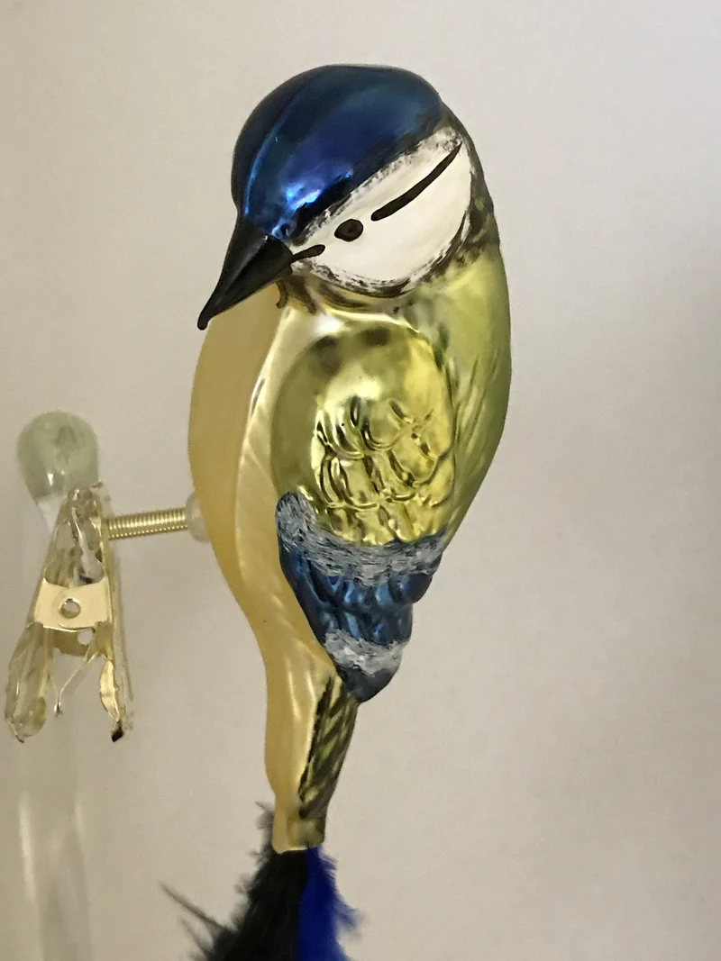 Blaumeise auf Clip mit Naturfeder