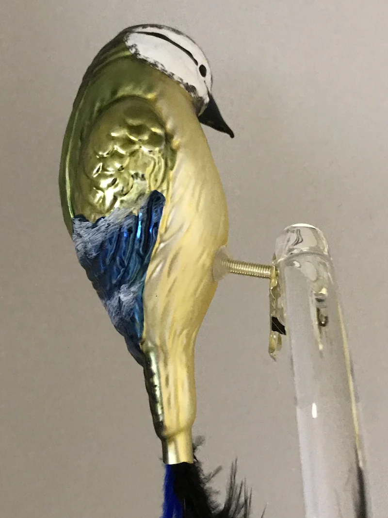 Blaumeise auf Clip mit Naturfeder