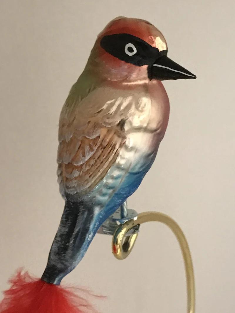 Bunter Vogel auf Clip mit roter Naturfeder