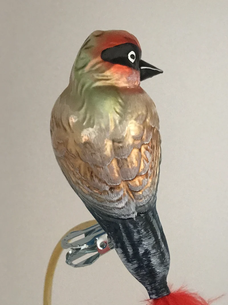 Bunter Vogel auf Clip mit roter Naturfeder
