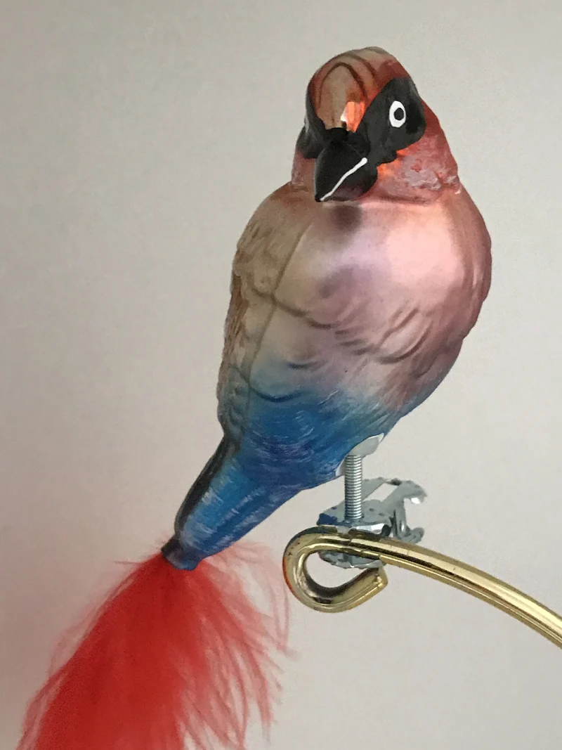 Bunter Vogel auf Clip mit roter Naturfeder