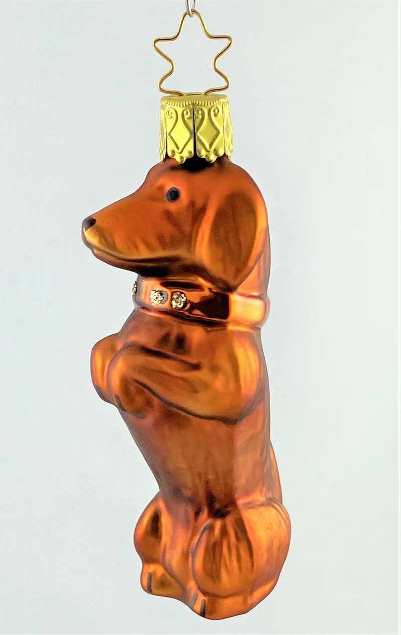 Süsser Dackel macht Männchen