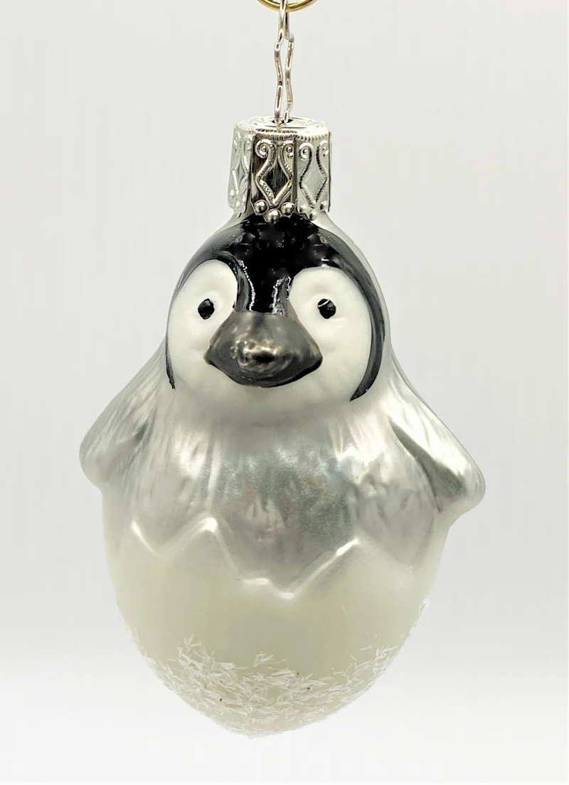 Pinguin Küken im Ei