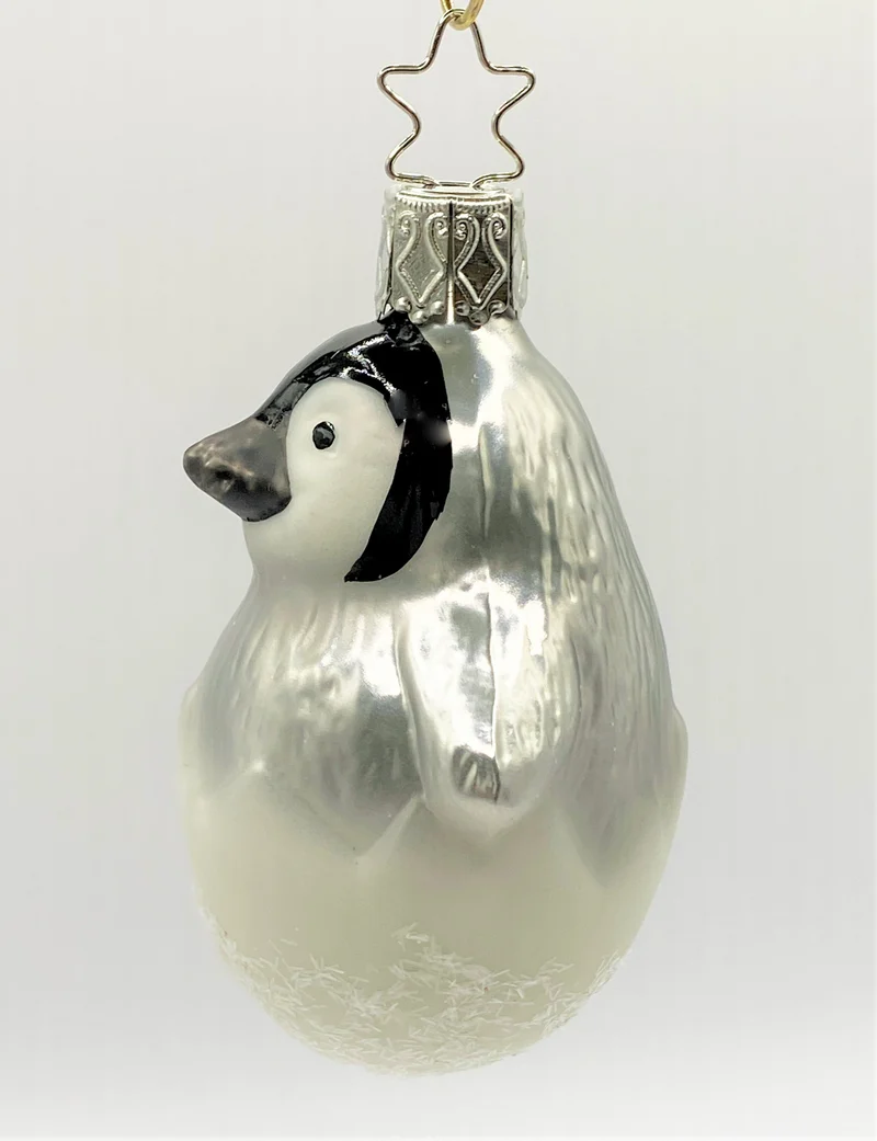 Pinguin Küken im Ei