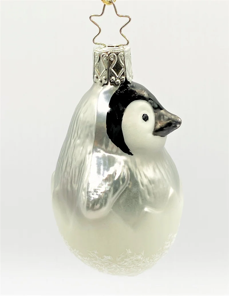 Pinguin Küken im Ei