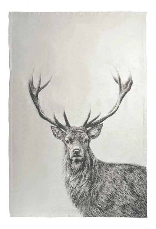 Sander Wohndecke Big Buck cloud