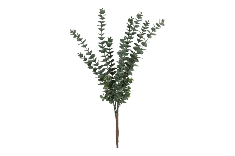 Eucalyptus S grün