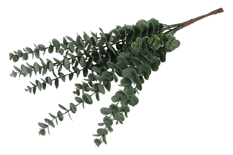 Eucalyptus S grün