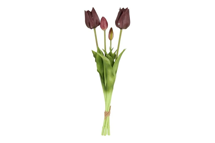 Kunst Tulpenbund purpur