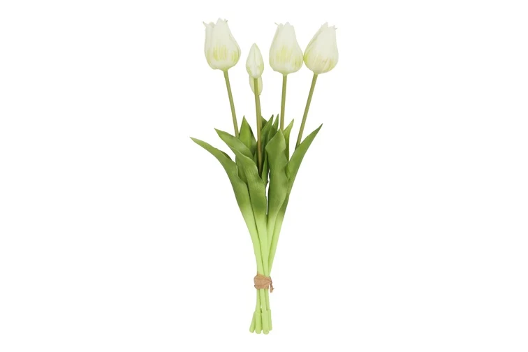 Kunst Tulpenbund weiß