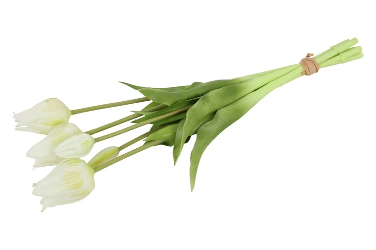Kunst Tulpenbund weiß