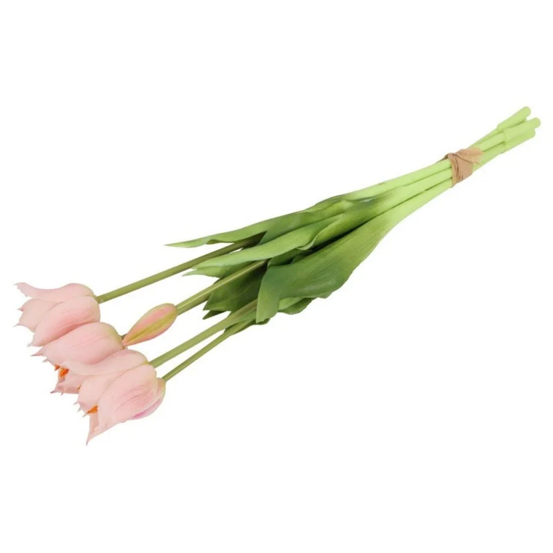 Tulpen Bund rosa