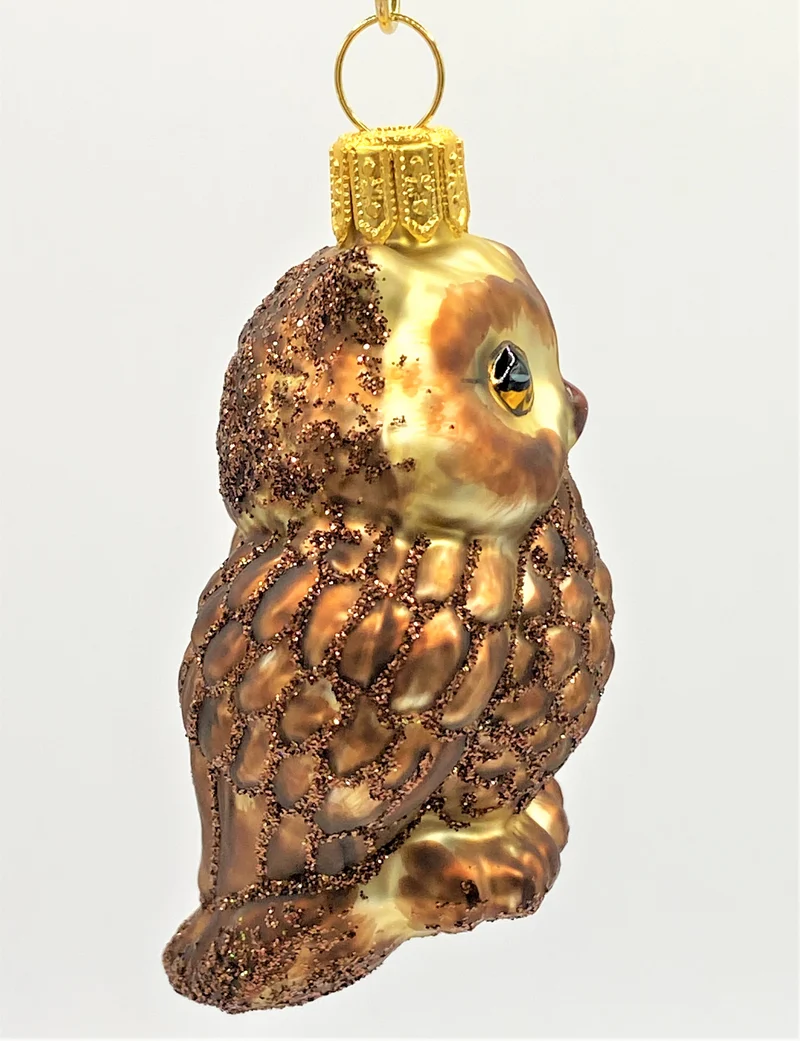 Kleiner brauner Kauz