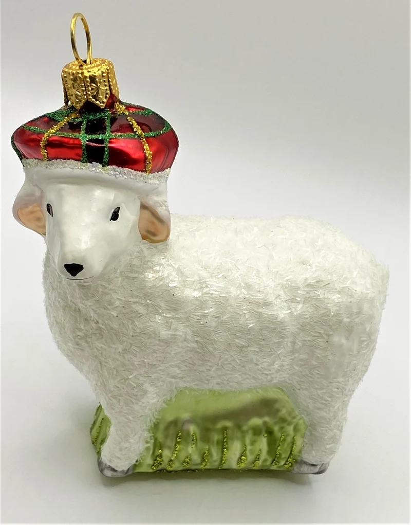 Weisses Schaf mit karierter Mütze
