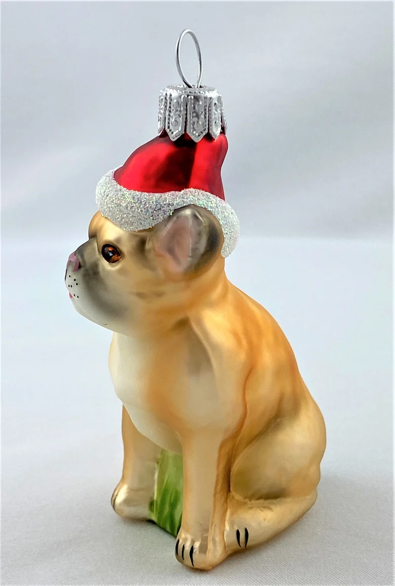 Französische Bulldogge mit Weihnachtsmütze