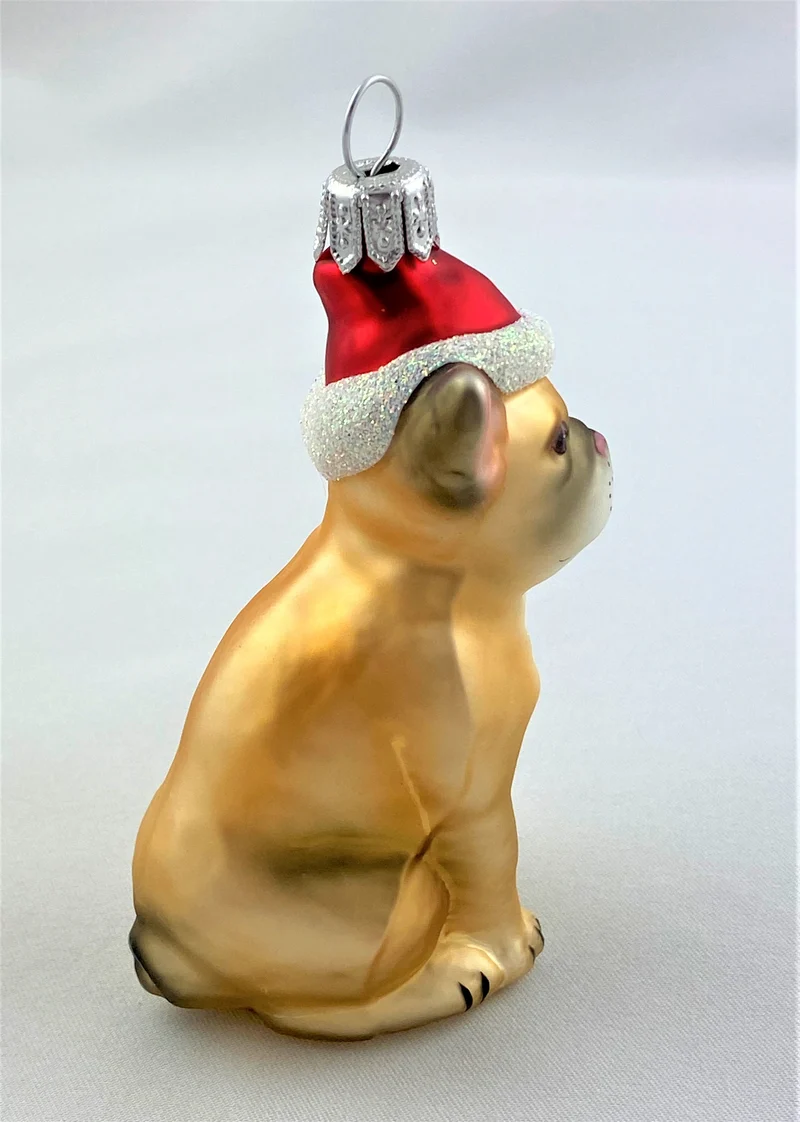 Französische Bulldogge mit Weihnachtsmütze